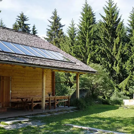 AlpenApart Montafon - Bitschweil Hüsle-2